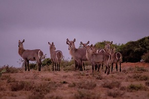 African Safari Lodge