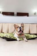 Hotel Plaza Las Americas Cali