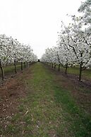 Agriturismo Bacche di Bosco