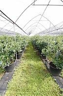 Agriturismo Bacche di Bosco