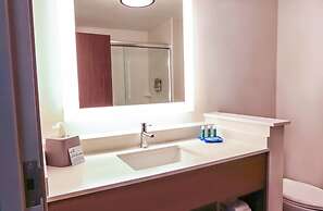 Holiday Inn Express & Suites Houston IAH - Beltway 8 by IHG