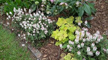 Pinecrest Bed & Breakfast