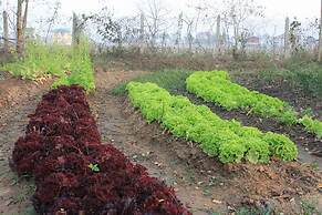 Mount Inle Hotel & Resorts