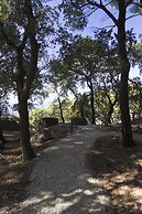 Hotel Bordoy Continental Valldemossa