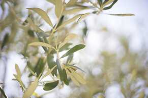 Hotel Bordoy Continental Valldemossa