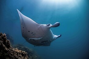 Conrad Bora Bora Nui