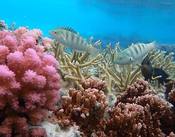 Conrad Bora Bora Nui