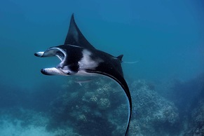 Conrad Bora Bora Nui