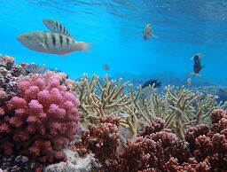 Conrad Bora Bora Nui