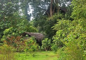 Back of Beyond - Dehigaha Ela