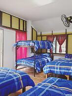 Happy House Backpacker - Hostel