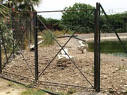 Agriturismo Masseria Portiere Stella