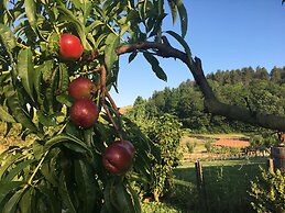 Cascina Castagneto
