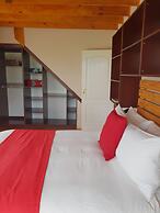 Knock Out View Clarens