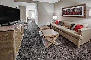 Black Fox Lodge Pigeon Forge, Tapestry Collection by Hilton