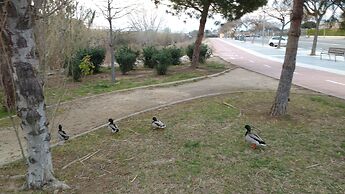 Camping Platja Cambrils