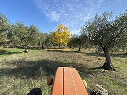 Agriturismo Podere Conte Ràcani