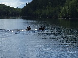 Air-Dale Fishing and Hunting