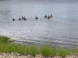 Air-Dale Fishing and Hunting