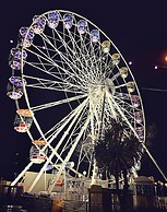 The Robin Hill Hotel