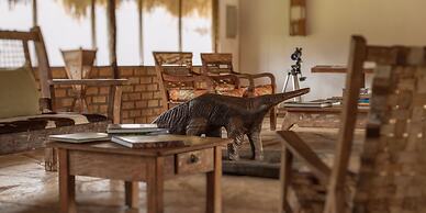 Pousada Araras Pantanal Ecolodge