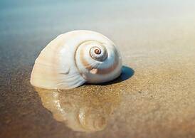 Résidence Marina Beach