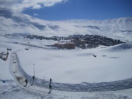 Cedars Palace