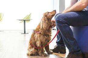 ibis budget Curitiba Centro