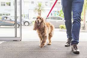 ibis budget Curitiba Centro