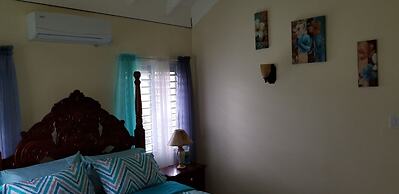 Ocho Rios Villa at Coolshade V