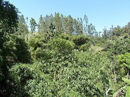 New Kingston Guest Apt at Sonoma Estate