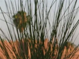 Riad le Jardin Des Sens