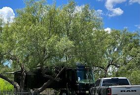 Live Oaks Bed and Breakfast