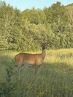 Hanging Horn Lakeside Resort