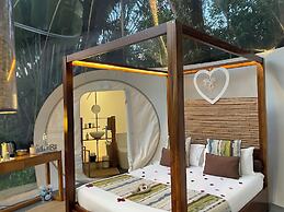 Bubble Lodge Bois Chéri