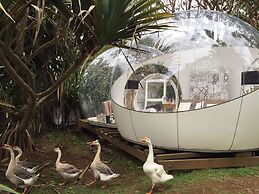 Bubble Lodge Bois Chéri