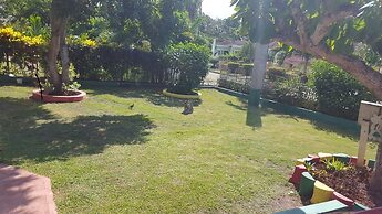 Ocho Rios Almond Tree Villas