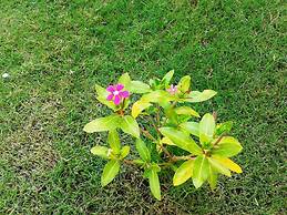 Lighthouse Nadia Aparts