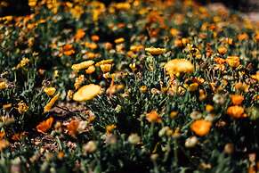 Ecolodge La Estancia