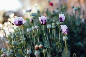 Ecolodge La Estancia