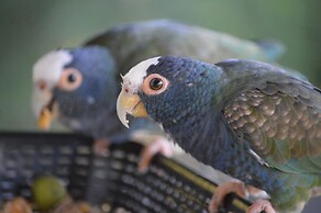 Rock Farm Guest House