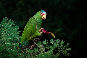 Rock Farm Guest House