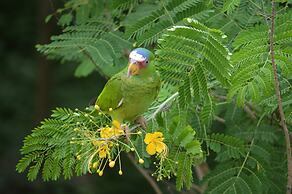 Rock Farm Guest House