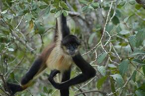 Rock Farm Guest House