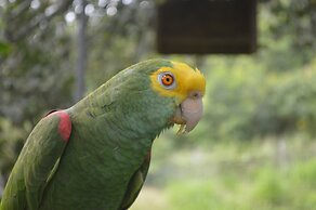 Rock Farm Guest House