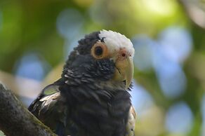 Rock Farm Guest House