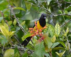 Rock Farm Guest House