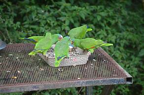 Rock Farm Guest House