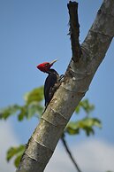 Rock Farm Guest House
