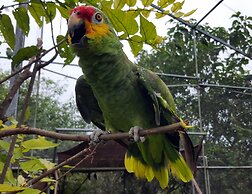 Rock Farm Guest House